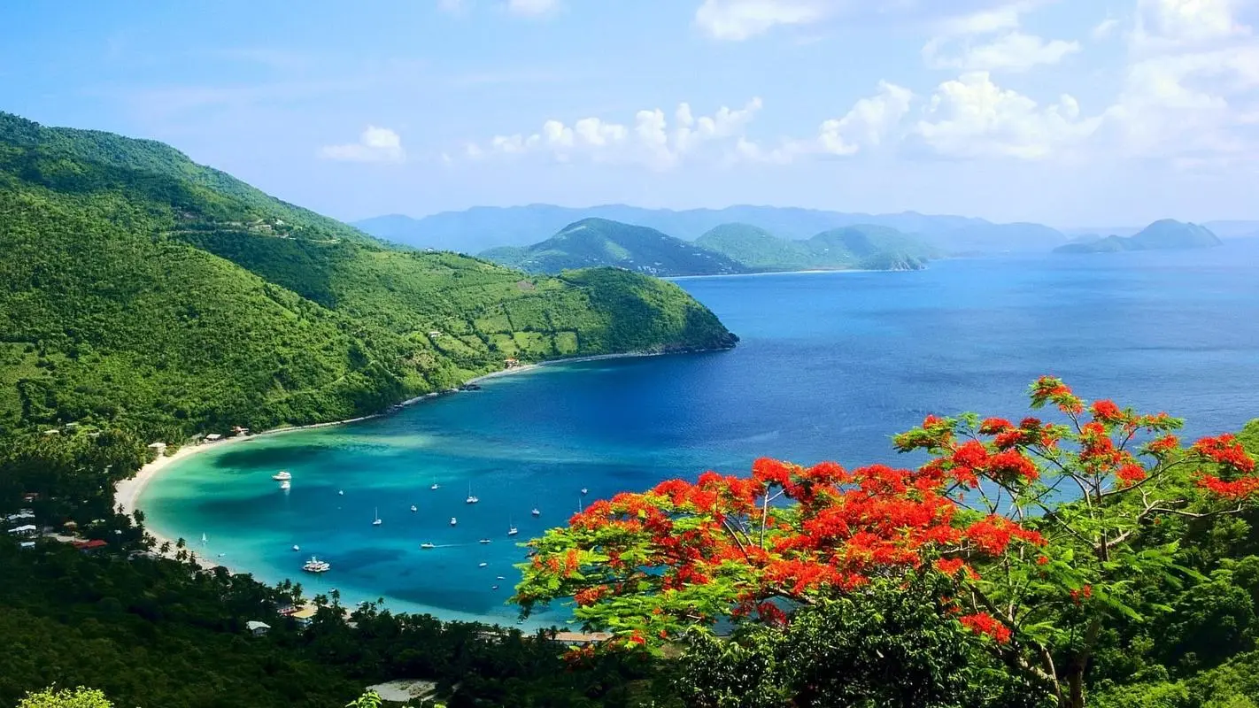 可靠性高标准